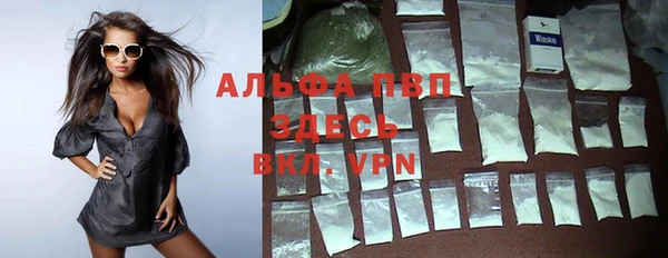 хмурый Алексин