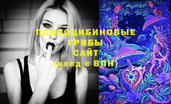 хмурый Алексин