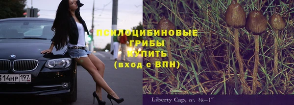 хмурый Алексин