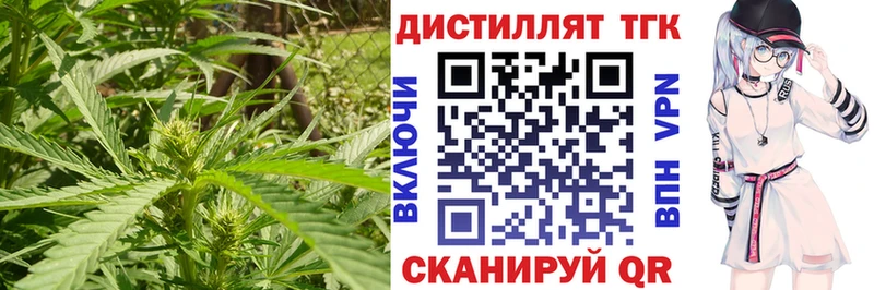Дистиллят ТГК концентрат  Жирновск 