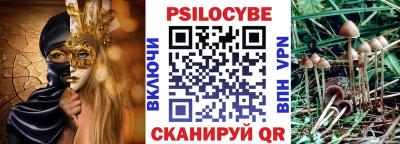 магазин  наркотиков  Жирновск  Псилоцибиновые грибы прущие грибы 