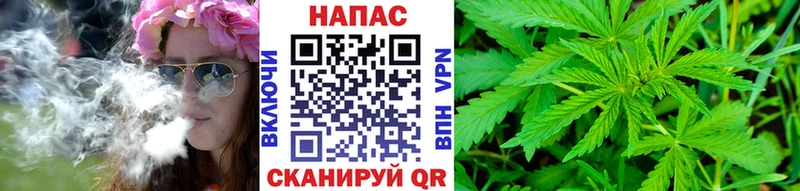 Бошки Шишки White Widow  где купить наркотик  MEGA   Жирновск 